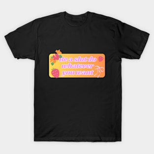 Be a slut do whatever you want pt2 T-Shirt